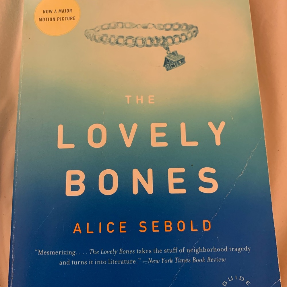 Silver Charm Bracelet book